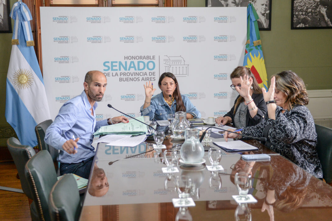 En el Senado bonaerense, avanzó en comisiones un proyecto de Laura Clark para promover el abordaje y capacitación para casos de abuso sexual infantil.