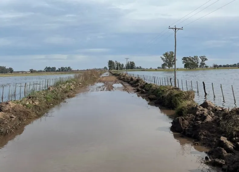 Durante las últimas semanas, el campo bonaerense denunció un millón de hectáreas bajo agua y exigió al Estado un plan de emergencia ante el deterioro de los caminos rurales.