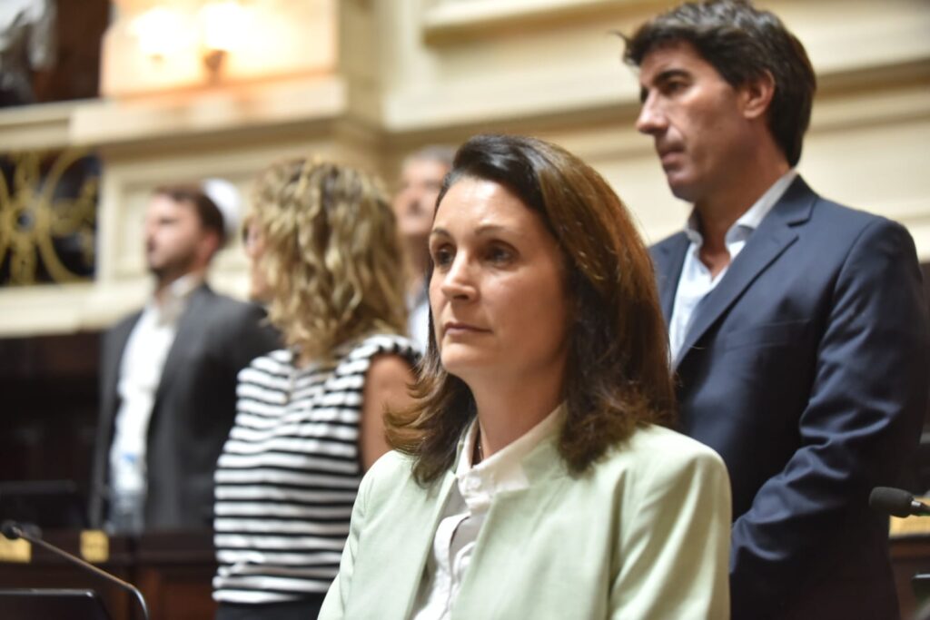 La diputada del bloque Somos Buenos Aires, Viviana Dirolli, logró que el oficialismo incorpore cambios en la Ley Audiovisual.