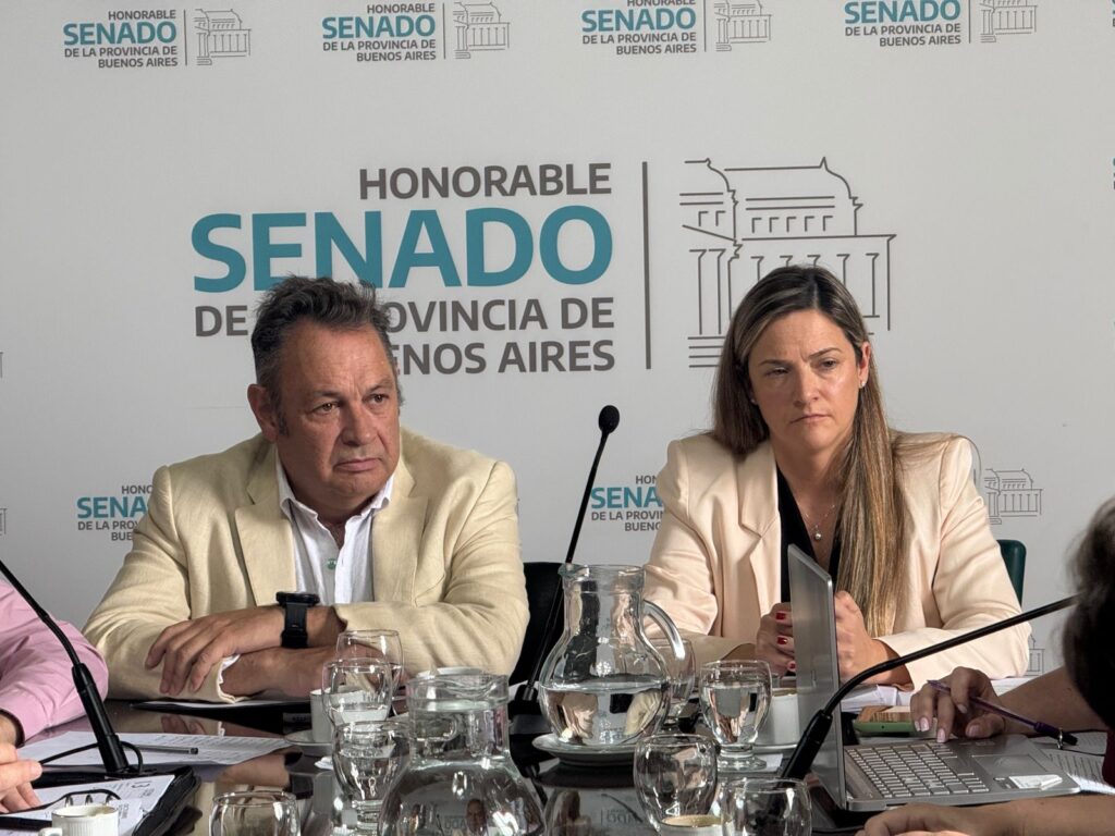 El senador Alejandro Cellillo y la diputada Sabrina Sabat. 
