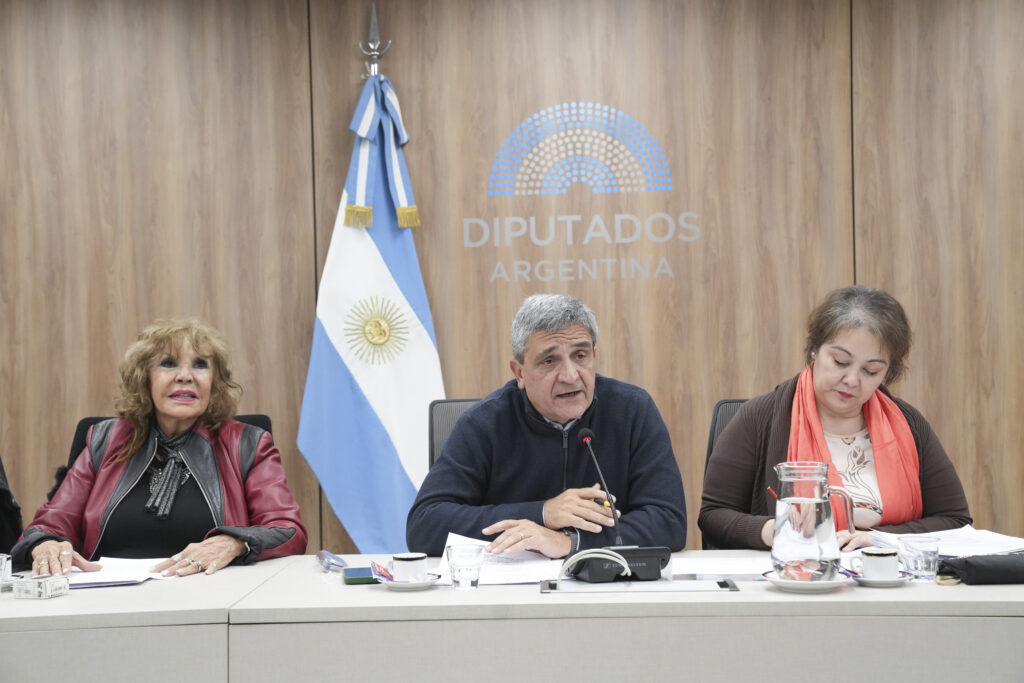 En línea con los planteos de FEMEBA, la comisión de Acción Social y Salud Pública, a cargo de Pablo Yedlin (UxP) también reclamó la suspensión del evento antivacunas.