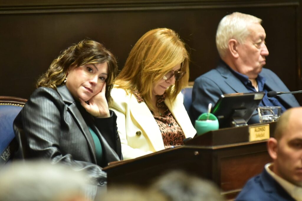 Soledad Alonso y Pablo Domenichini cargaron contra Javier Milei por la postergación de las leyes de educación y salud.