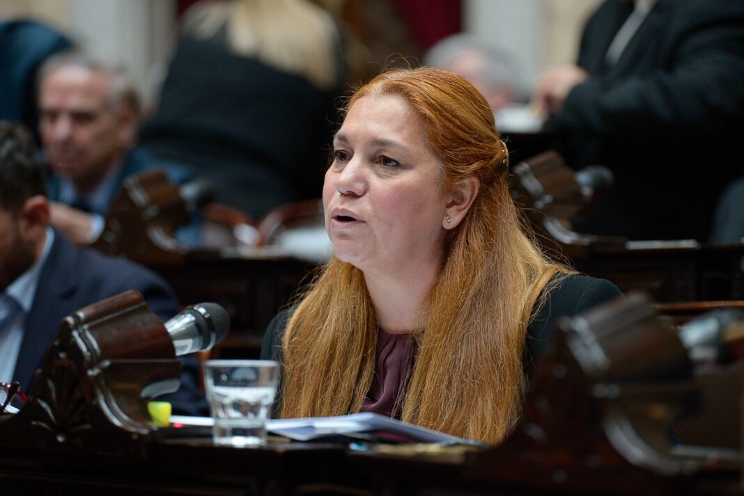 En diálogo con Diputados Bonaerenses, la legisladora nacional Karina Banfi detalló las negociaciones con el oficialismo en referencia al Presupuesto 2026.