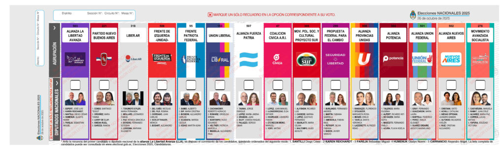 Boleta Única: en la provincia de Buenos Aires, hay 15 listas de espacios para candidatos a diputados nacionales.