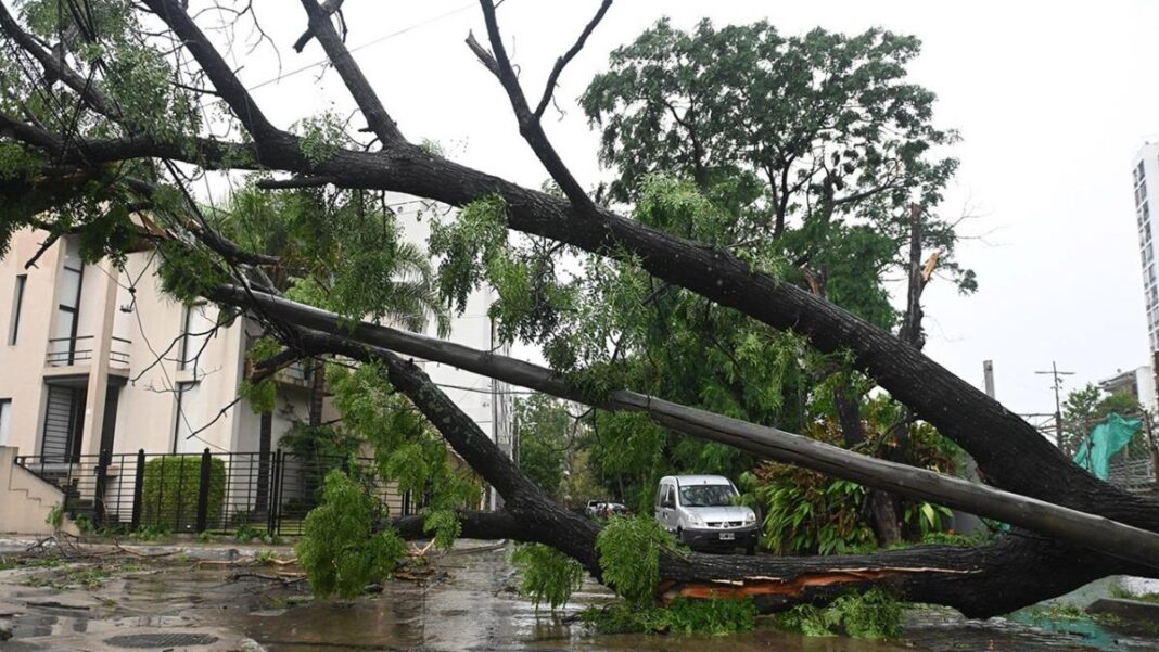 Un fuerte temporal cruzó la provincia de Buenos Aires y dejó árboles caídos, calles anegadas y vecinos aislados en gran parte del territorio bonaerense.