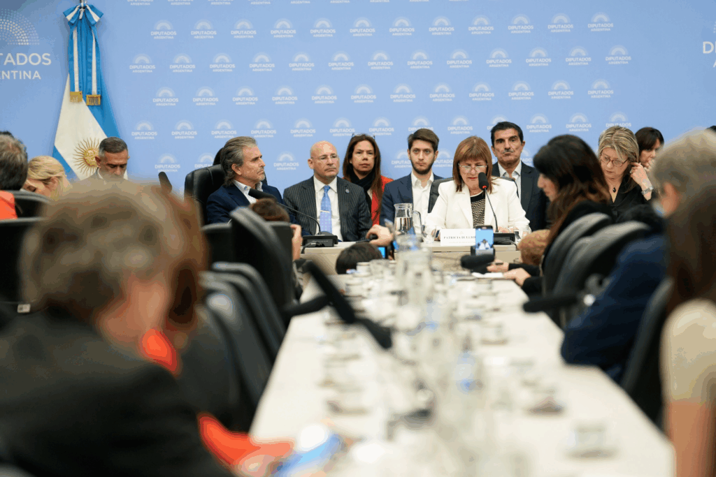 La ministro de Seguridad, Patricia Bullrich, defendió el Presupuesto 2026 en la Camara de Diputados.