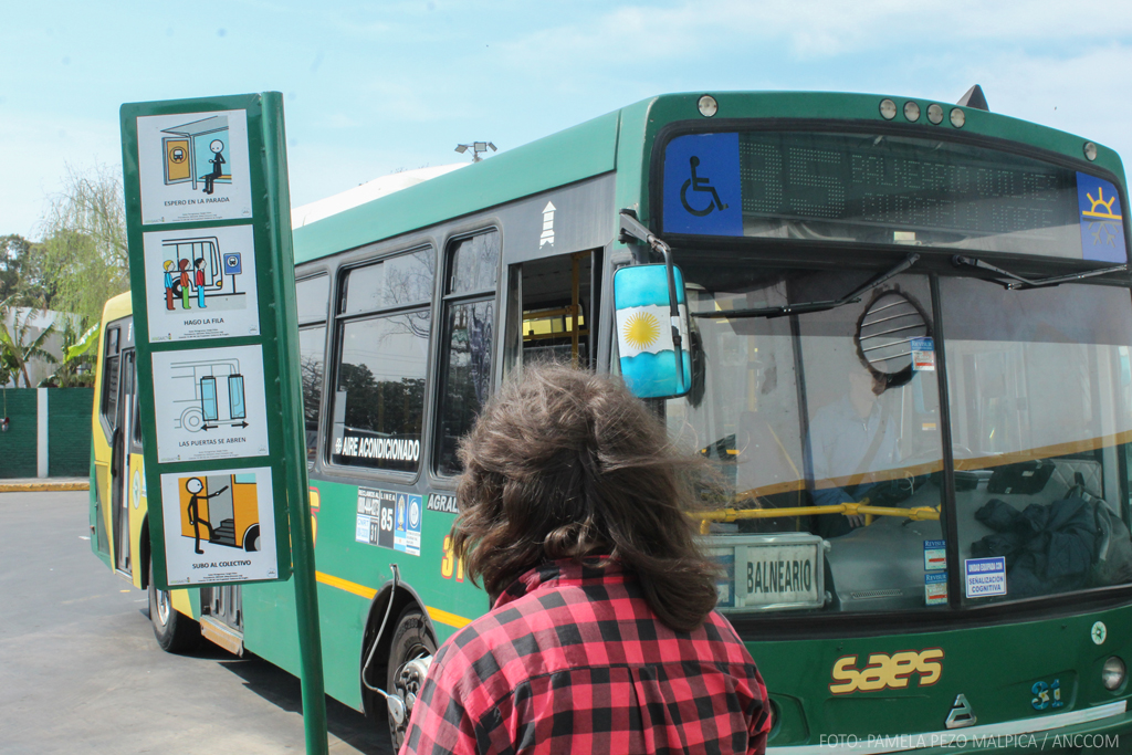 Avanza un proyecto de ley que busca incorporar pictogramas en las unidades del transporte público para personas con discapacidad.
