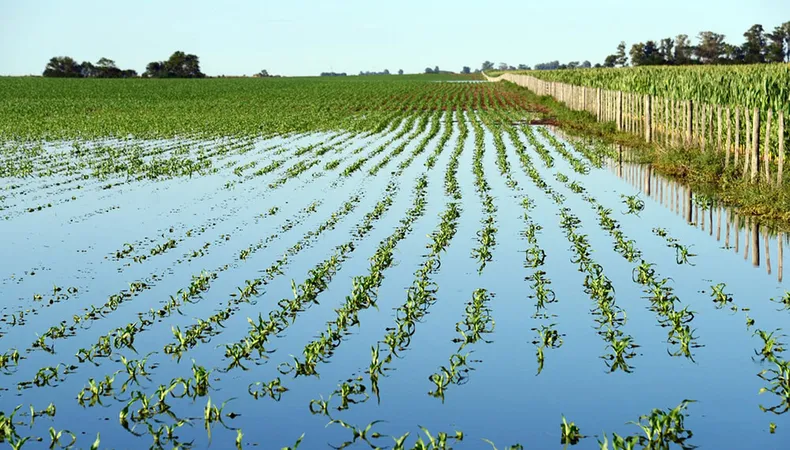 Piden emergencia agropecuaria en el centro-oeste bonaerense