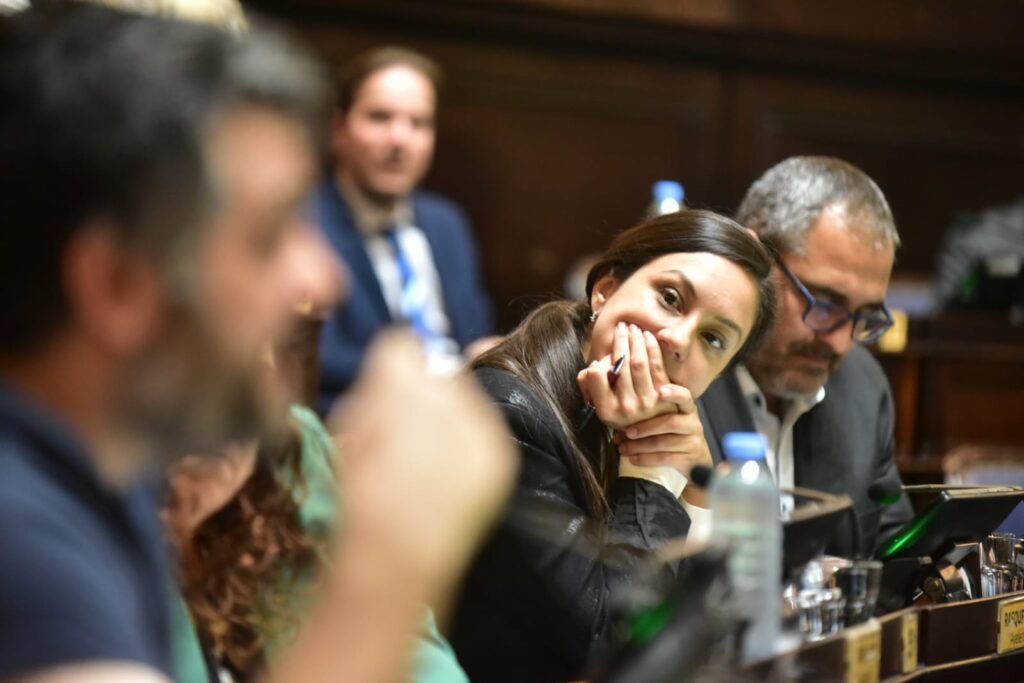 Ayelén Rasquetti, la diputada bonaerense del Frente Renovador que levantó una alerta en las petroleras.