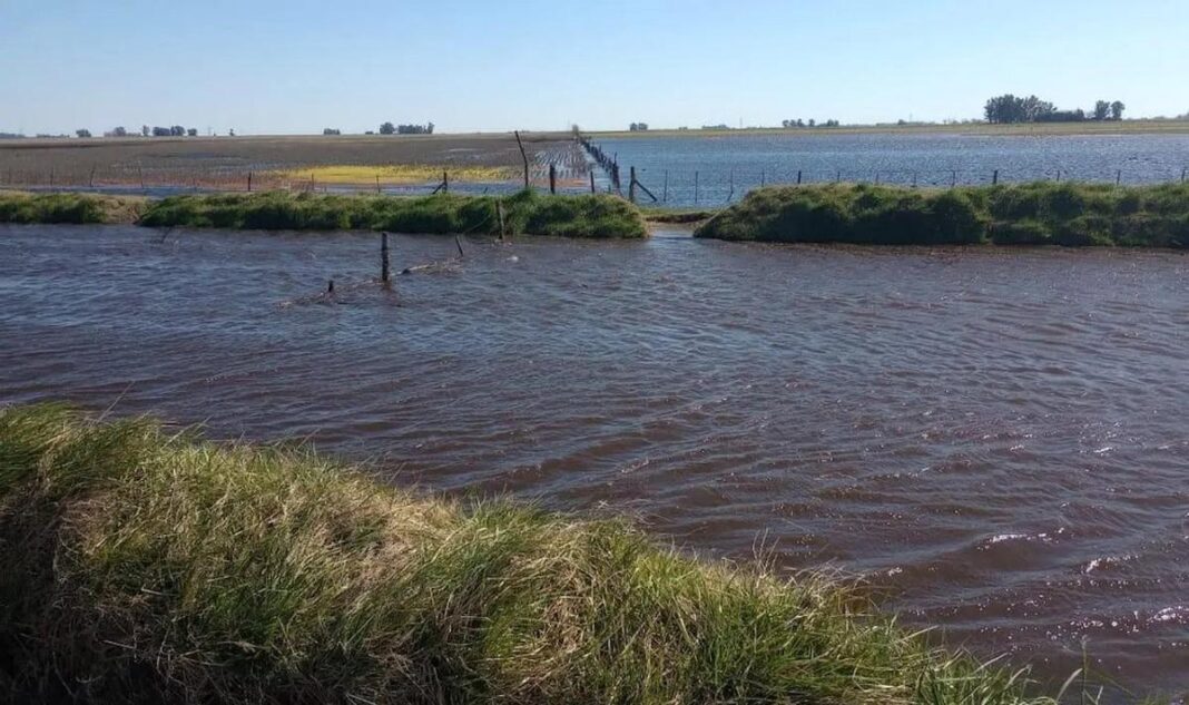 Productores de Bragado salieron a pedirle respuestas al intendente local, Sergio Barenghi, por la delicada situación hídrica que atraviesa el municipio.