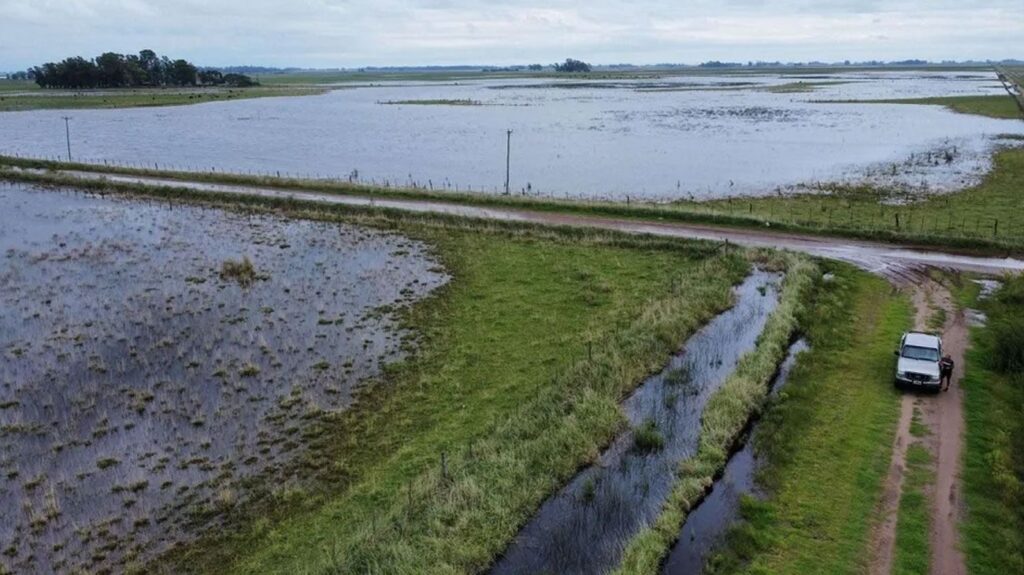 Según un relevamiento de CARBAP, más de 2 millones de hectáreas en la provincia fueron afectadas por las inundaciones.