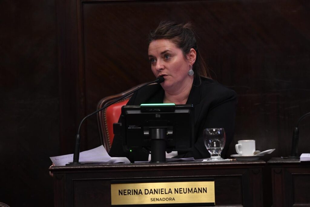 
Nerina Neumann Losada, la senadora bonaerense por la Sexta sección que busca dar respuesta a los vecinos de Villa Caballero. 