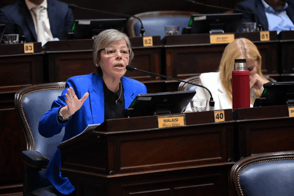 En relación a las negociaciones por el Presupuesto 2026, la diputada Belén Malaisi señaló que avanzará con los pedidos de moficación en el plenario de comisión de la semana que viene