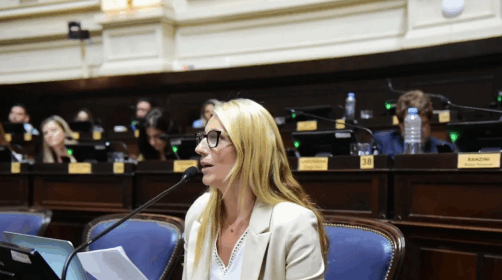 La diputada bonaerense, Paula Bustos, pide informes sobre la paralización de obras y la limpieza del arroyo Chu-Chu en la ciudad de Pergamino.