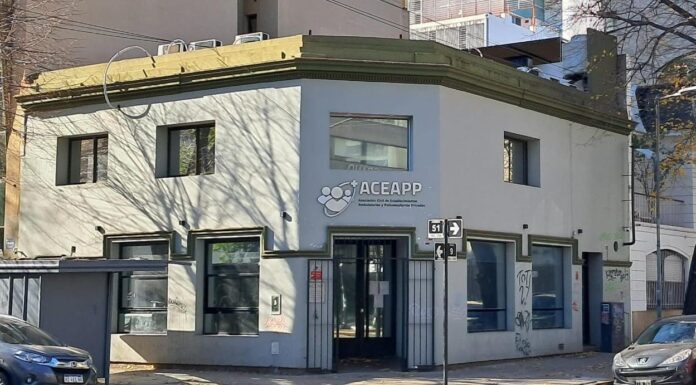 Cambio en el IOMA: una empresa denunciada por irregularidades tomó el control de la ACEAPP La Asociación Civil de Establecimientos Asistenciales y Prestadores Privados (ACEAPP) pasó a ser controlada por Roisa, el nuevo socio del IOMA.