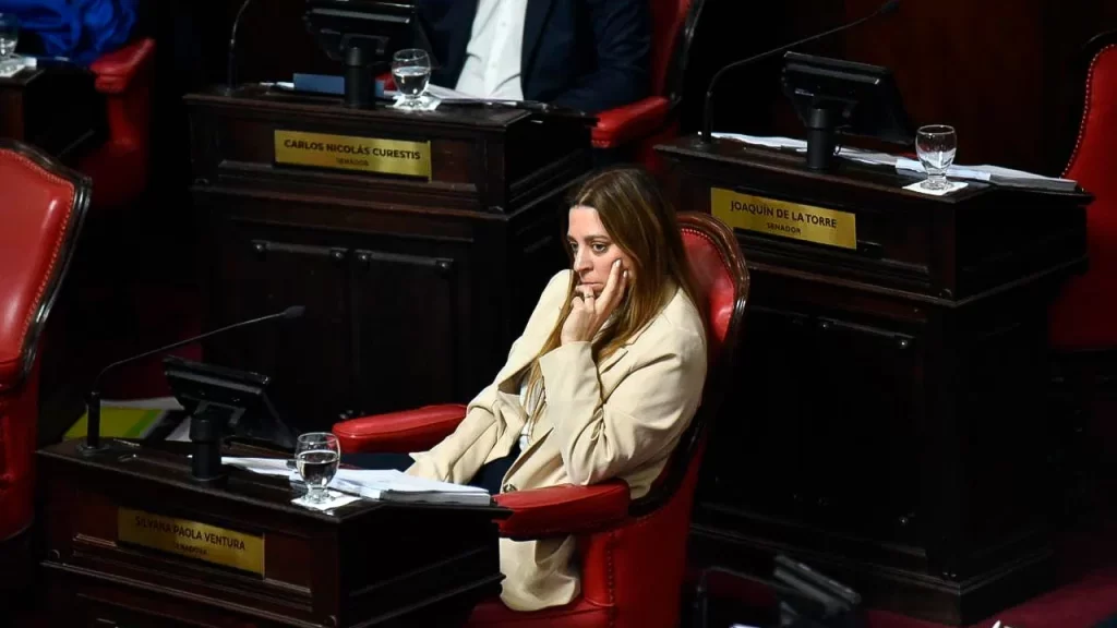 La senadora bonaerense de Unión y Libertad, Silvana Ventura, cruzó a la DGCyE por los protocolos vigentes frente a casos de violencia escolar.