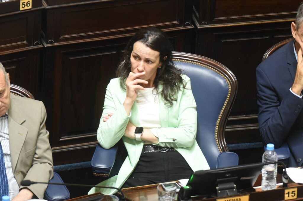 La autora del proyecto para esquivar la paridad de género en las suplencias, Nazarena Mesías.