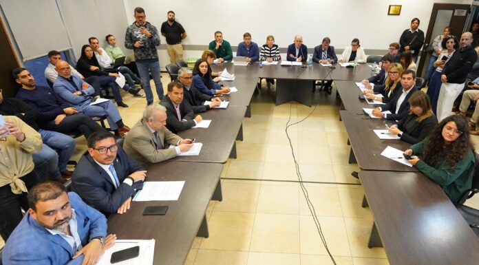 La oposición quiere una Bicameral para controlar el endeudamiento de Kicillof El bloque de legisladores libertarios dialoguistas busca crear una Bicameral de control de deuda, en medio de la negociación por el endeudamiento.