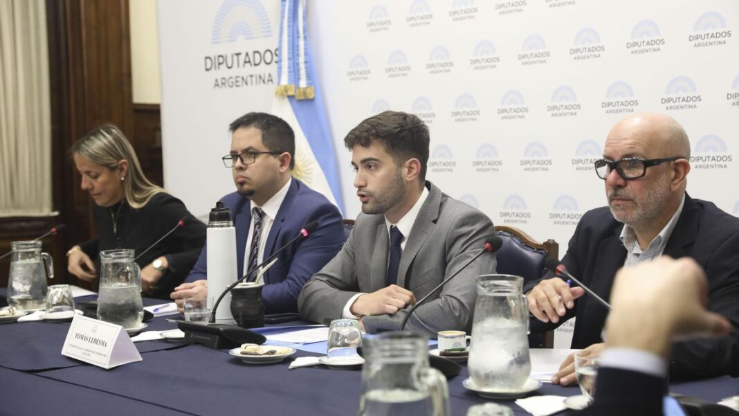 Este martes, el Congreso recibe a especialistas para comenzar a revisar el acuerdo comercial entre Argentina y Estados Unidos.