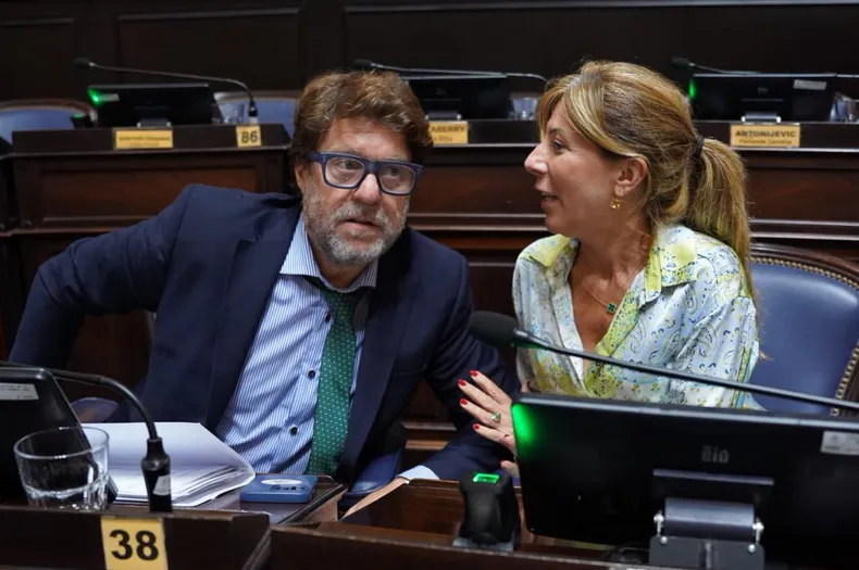 En el marco de la discusión presupuestaria de cara a 2026, Garciarena y Vaccarezza reclamaron la incorporación de las obras en la Cuenca del Río Salado. 