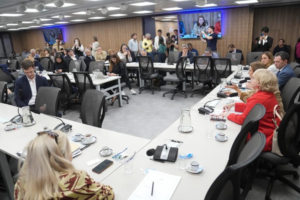 La comisión investigadora por el fentanilo contaminado volvió a avanzar sin la presencia de Mario Lugones y se encamina a elaborar el informe final. 