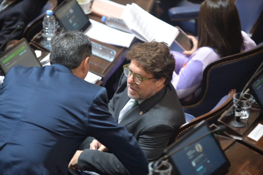 Ley Impositiva: Garciarena justificó su apoyo en general del proyecto, pero pidió continuar con mayores reformas.