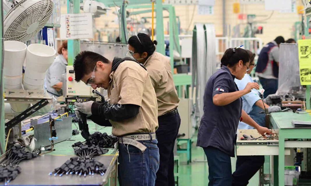 Un informe del Instituto Interdisciplinario de Economía Política (IIEP) de la UBA arrojó que se desploma el empleo formal, siendo el sector privado el más golpeado. Todos los detalles.