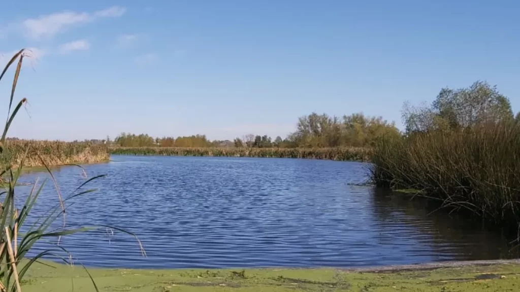 
Pablo Domenichini busca darle un marco legal e integral a la protección de la Laguna de Rocha. 