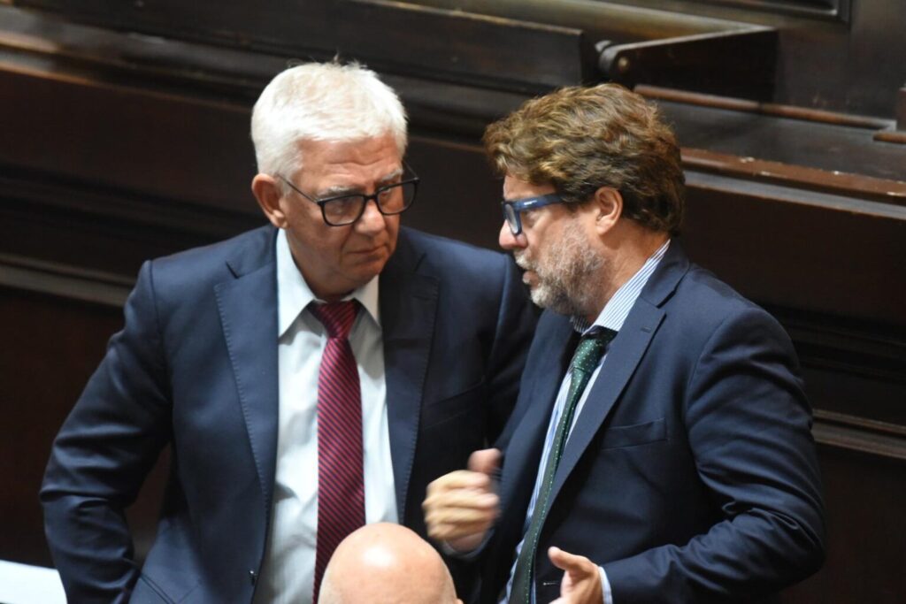 Entre los bloques que celebraron el fondo para municipios estuvo UCR + Cambio Federal, cuyo titular en la Cámara baja es Diego Garciarena.