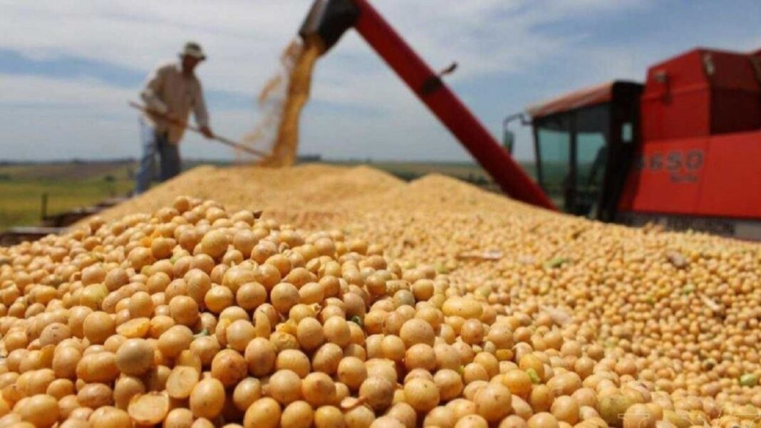 Legisladores bonaerenses destacaron la importancia de la baja de retenciones para el agro, al tiempo que pidieron que la medida sea ratificada mediante una ley.