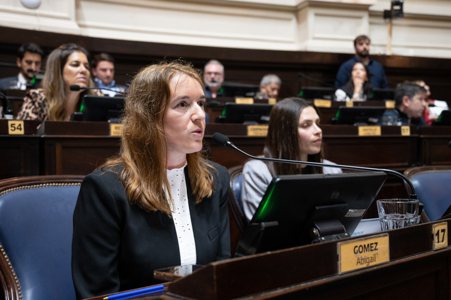 La exdiputada bonaerense, Abigaíl Gómez, presentó el proyecto de gratuidad procesal en litigios sanitarios, previo a culminar su mandato.