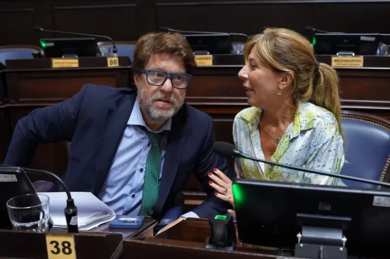 La escisión del radicalismo bonaerense, dejó a Garciarena y Vaccarezza como únicos representantes correligionarios en el bloque de UCR + Cambio Federal.