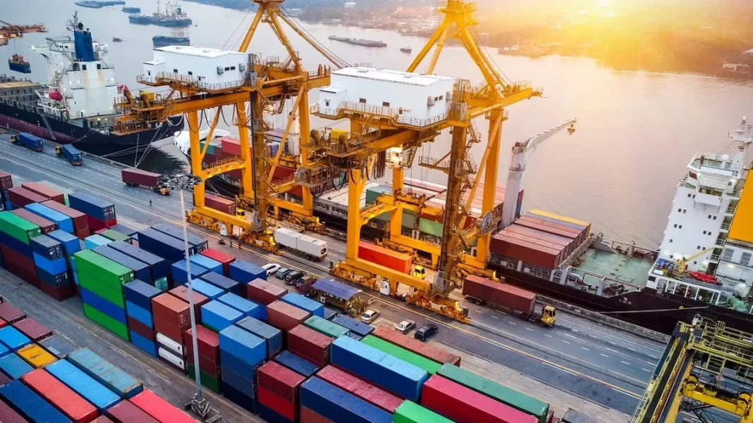 El Gobierno nacional eximió al Senasa y la ANMAT de realizar controles en artículos importados con certificación de Australia, EE.UU, la Unión Europea, Israel, Japón y Reino Unido.
