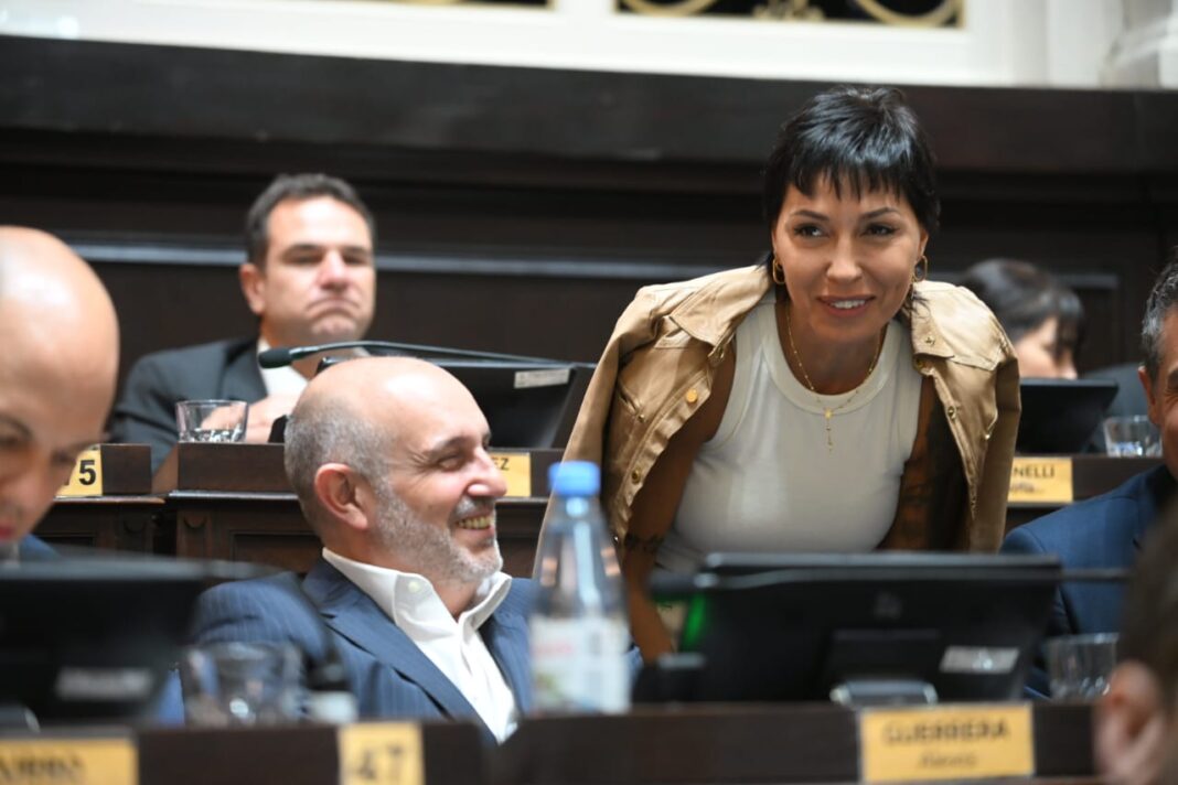 La Cámara de Diputados bonaerense estrenó su nueva composición en su sesión de esta semana. Los legisladores que tomaron la palabra y el rol que tendrán.