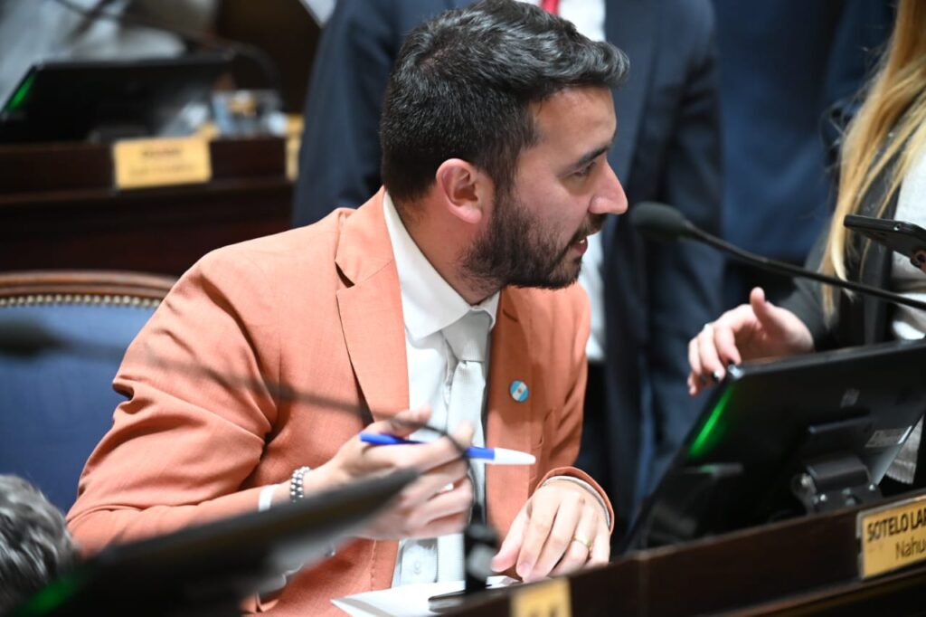 Sotelo volvió a la Legislatura para defender la gestión de Milei y cuestionar a Unión por la Patria.