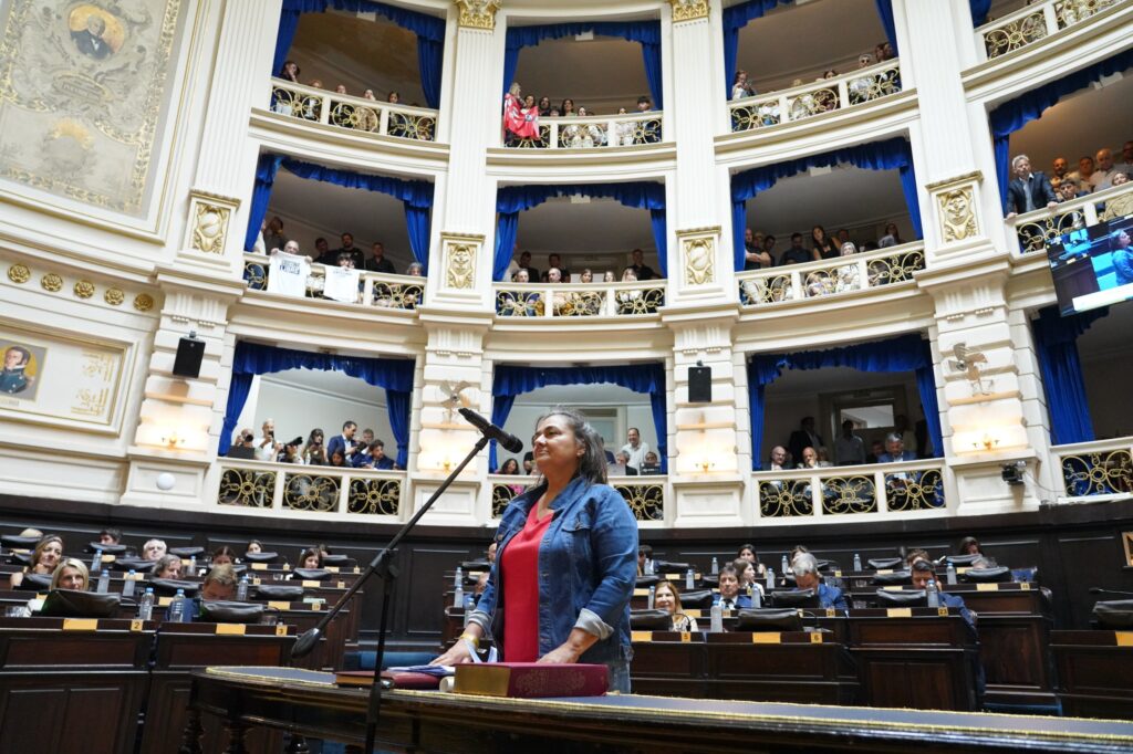 La diputada del FIT, Mónica Schlotthauer, también elevó una iniciativa para estar en contra de la reforma laboral de Milei.