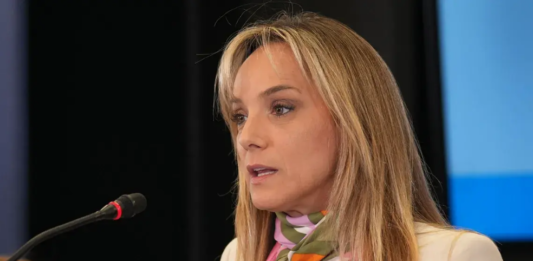 La senadora, Malena Galmarini cuestionó la reforma laboral del Gobierno nacional y presentó una propuesta alternativa del Frente Renovador.