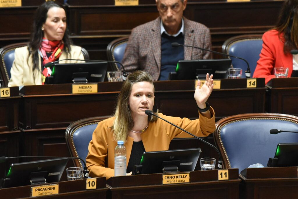 La exdiputada Laura Cano se cuestionó en el debate del Presupuesto el recorte en Salud y la situación crítica de los becarios.