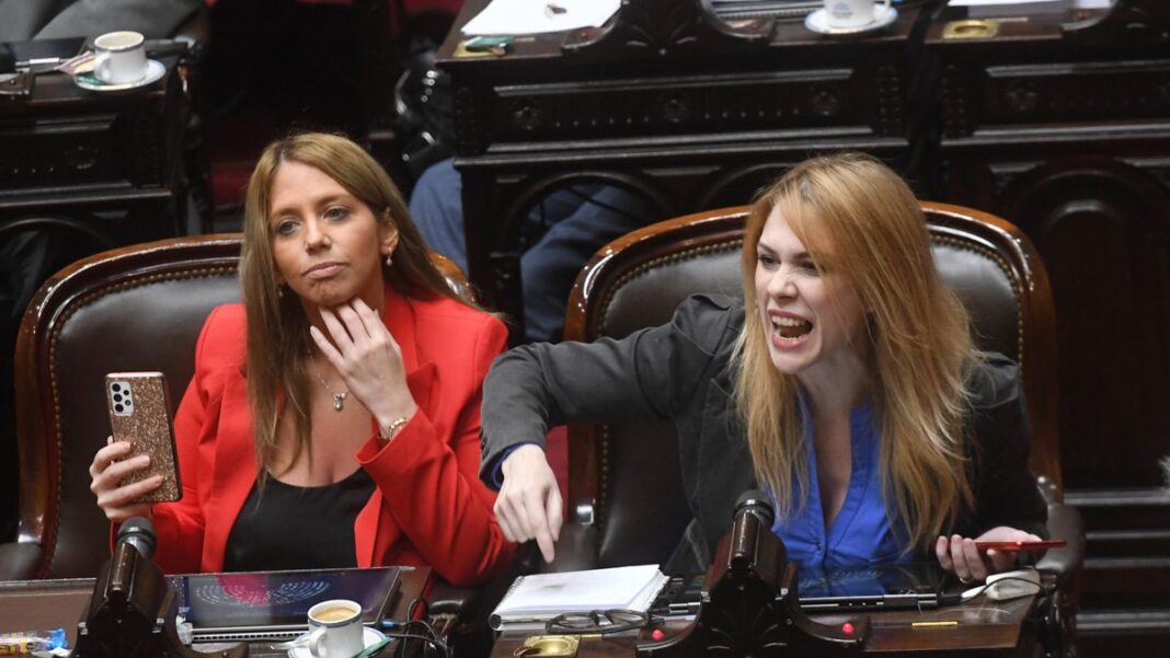 Organizaciones de Derechos Humanos (DDHH) piden que el Congreso expulse a Lilia Lemoine por mofarse de las víctimas de los vuelos de la muerte.