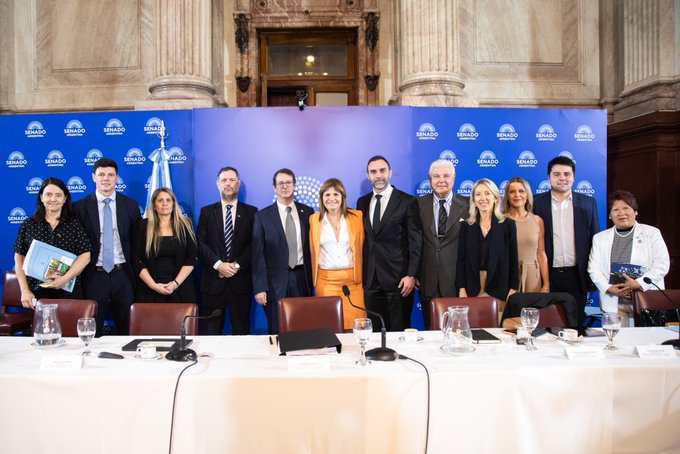 La jefa de bloque de La Libertad Avanza, Patricia Bullrich, arengó la aprobación del proyecto oficial de Presupuesto 2026 en la Cámara alta.