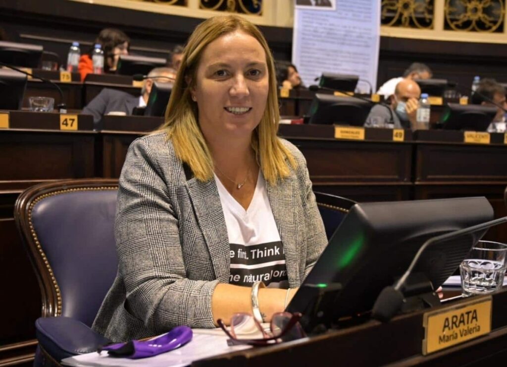 Valeria Arata, la ex funcionaria de Transporte que asumió una banca en el Senado bonaerense.
