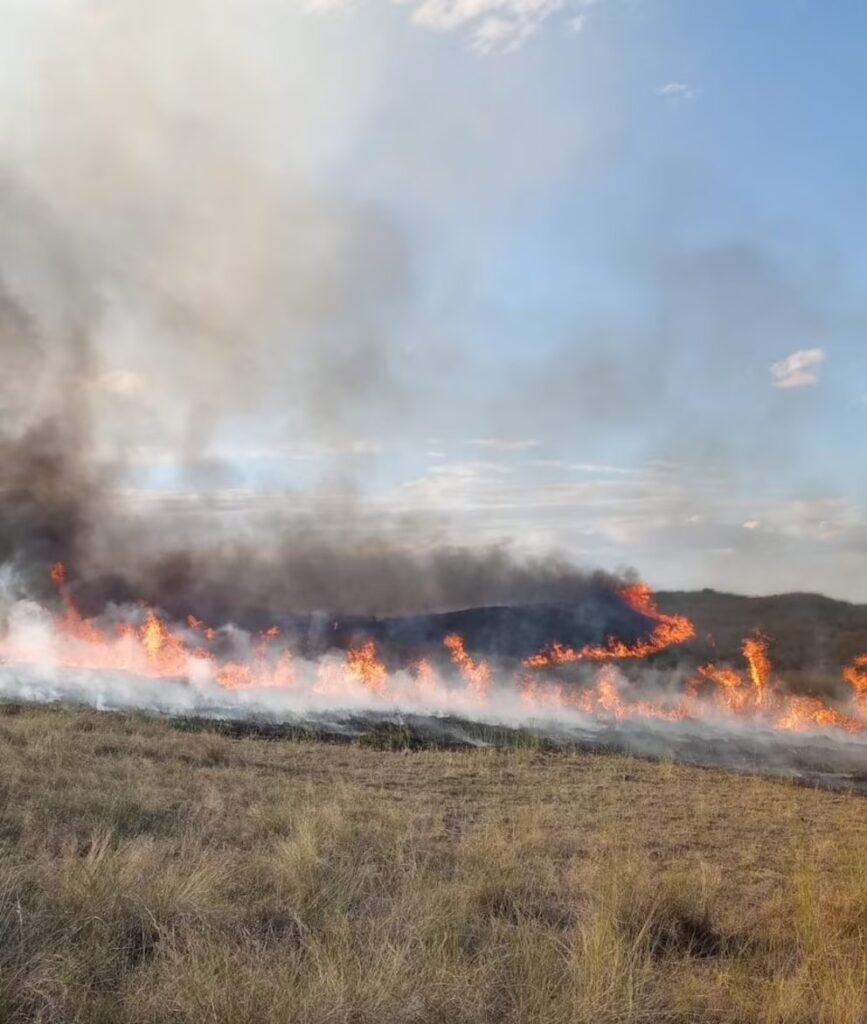 La CARBAP manifestó su acompañamiento a los productores afectados por los incendios en los campos.
