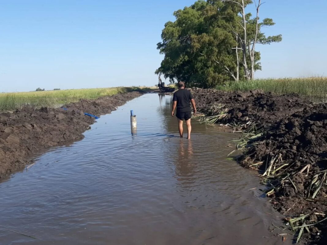 El gobierno bonaerense de Axel Kicillof avanzó con la extensión de la emergencia agropecuaria por inundaciones en más de una decena de distritos.