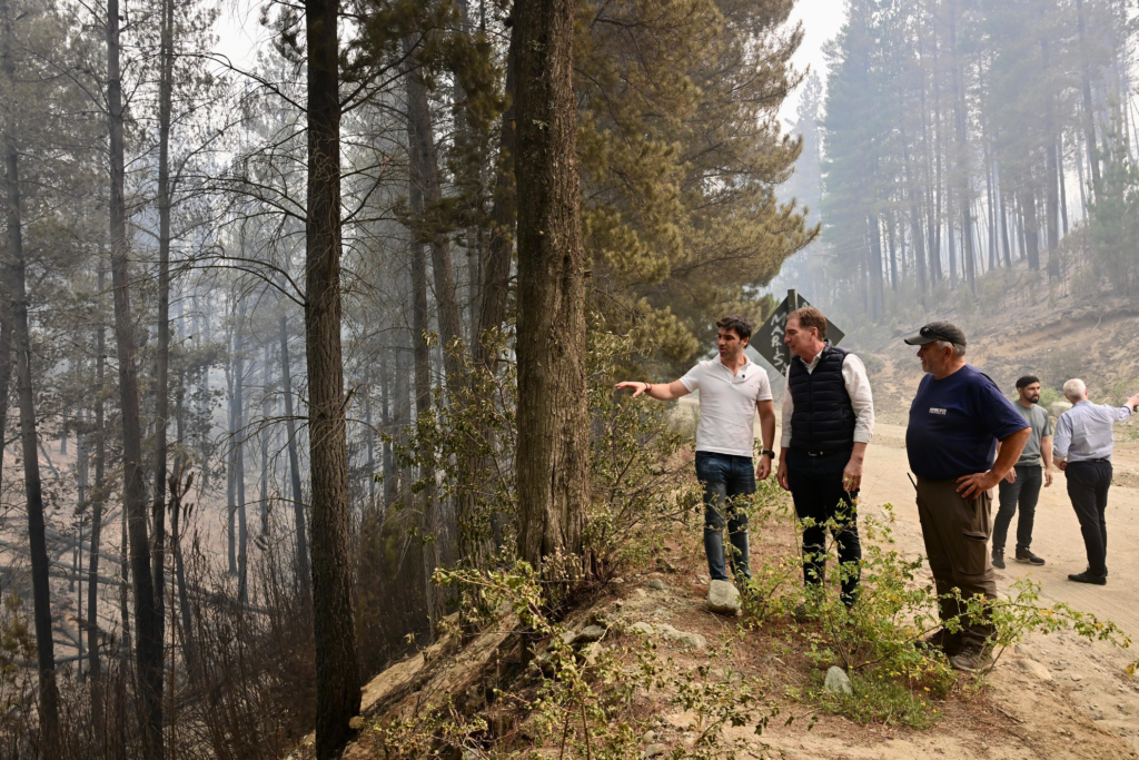 El ministro del Interior, Diego Santilli, encabezó una conferencia con el gobernador Ignacio Torre, y anunció una recompensa de $50 millones por información sobre el incendio en Chubut.