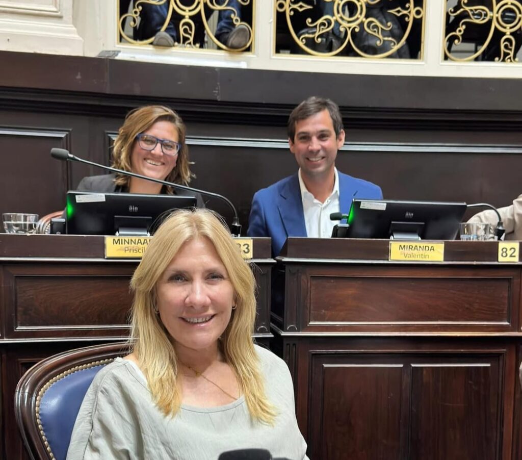 Priscila Minnaard integra el bloque UCR-Unión Cívica Radical junto con Valentín Miranda y Alejandra Lordén.