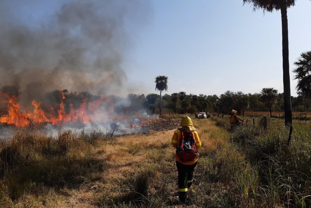 El SNMF y el SMN declararon un “riesgo extremo de incendios” en gran parte del territorio argentino, incluyendo a la provincia de Buenos Aires.