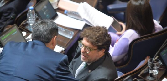 El diputado de a UCR, Diego Garciarena, puso reparos a las reelecciones indefinidas y pidió debatir previamente una reforma por una mayor autonomía municipal.