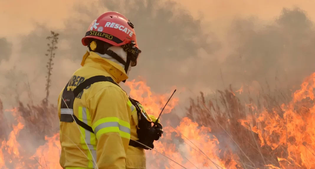 Javier Milei agradeció a brigadistas, bomberos y voluntarios por el combate de los incendios en la Patagonia, y destacó el despliegue nacional.