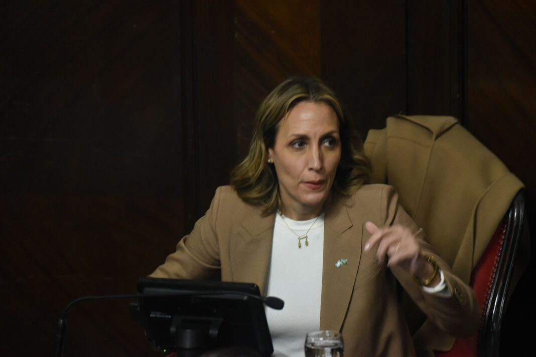 La senadora, Florencia Arietto, volvió a referirse a las denuncias contra el gerente general del Banco Provincia, Rubén González Ocantos.