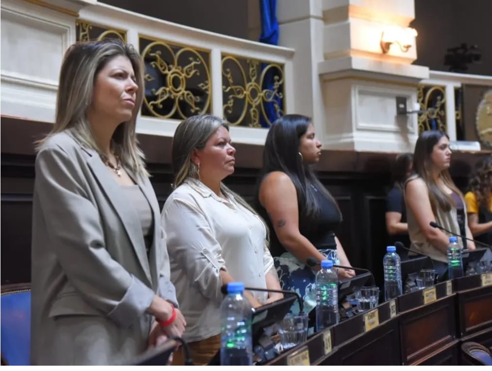 La diputada Evelyn Flores cuestionó "la ausencia de planificación" del municipio de San Nicolás para articular políticas de seguridad.
